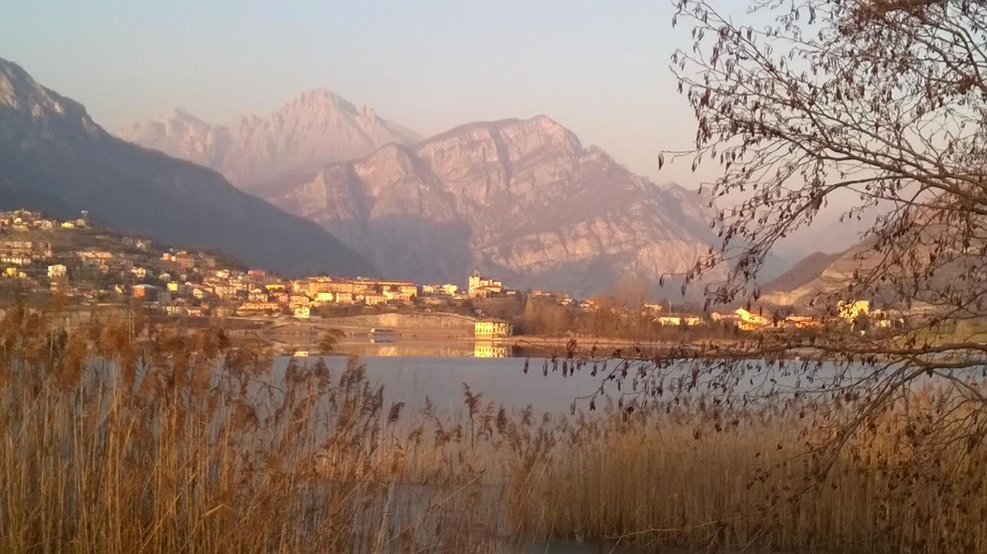 B&B Leon D'Oro Pusiano Екстер'єр фото